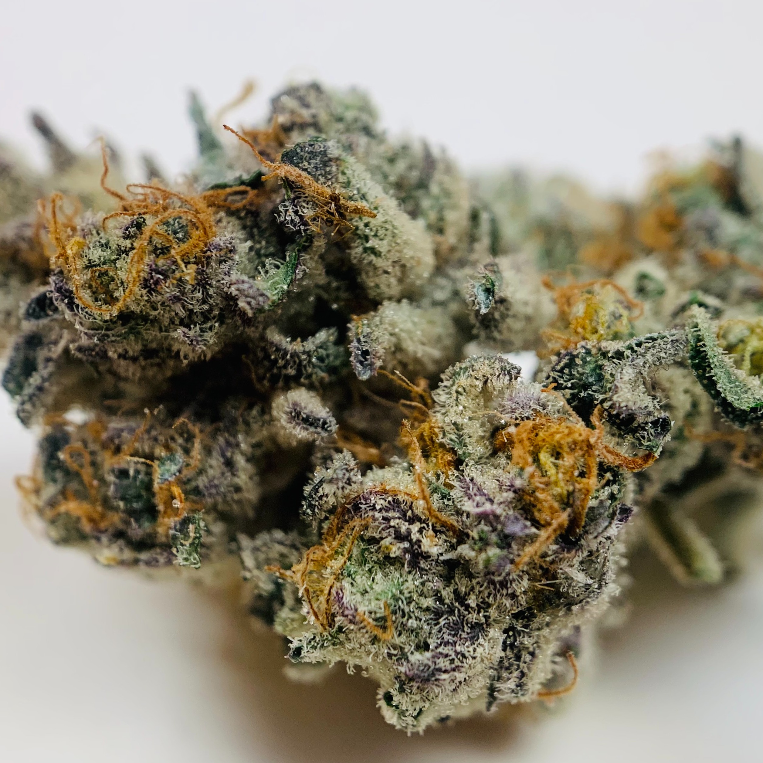 Slurricane